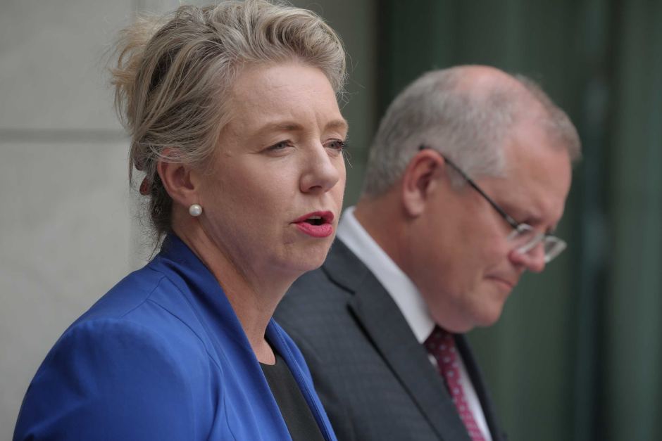 Thumbnail for PM’s promise to help regional newspapers with printing costs