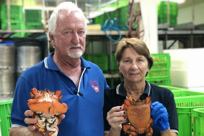 Aussie Red Crab owners Les and Lynn Apps want the government to stick to its guns to protect the industry. (ABC Rural: Jennifer Nichols)