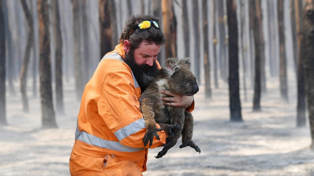 Thumbnail for Endless summer: NSW fire authorities brace for three days of sizzling heat