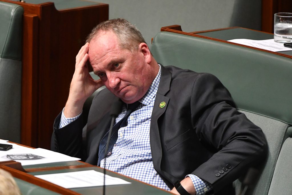 Thumbnail for That’s not my job: Barnaby refuses to share blame for Liberal collapse