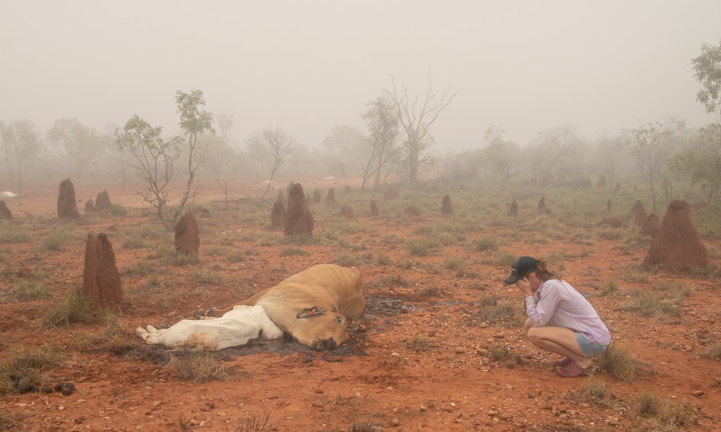 Scenes of devastation followed last year’s record floods. (Jacqueline Curley Photography)