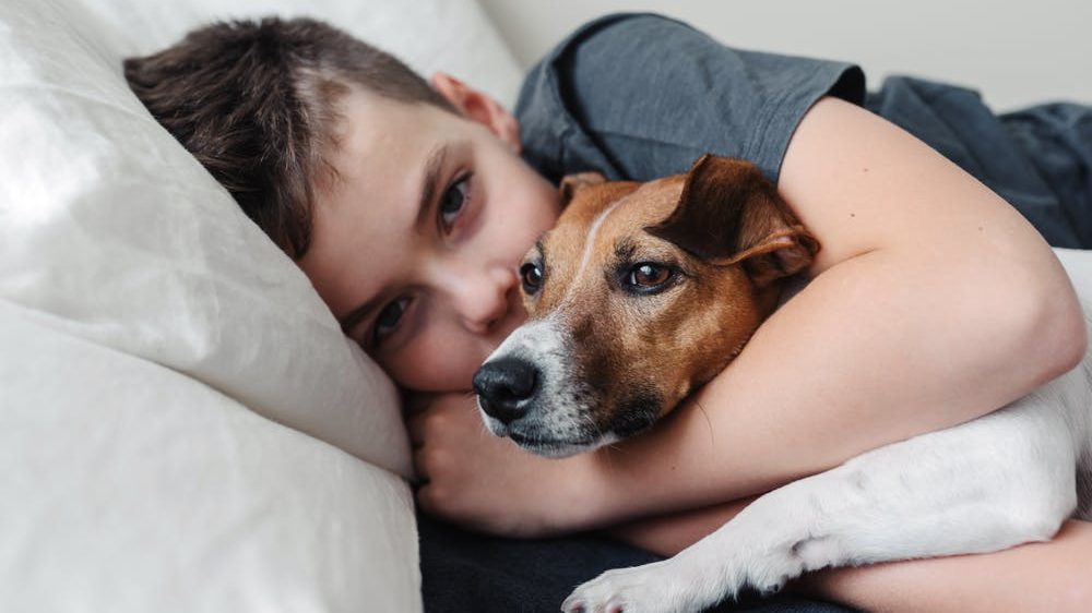 Thumbnail for Fur-babies and feathered friends – joys and sorrows of a beloved family pet