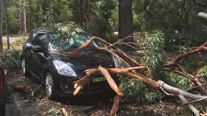 Thumbnail for Fatal attraction: Why we are still behaving badly when storm season arrives