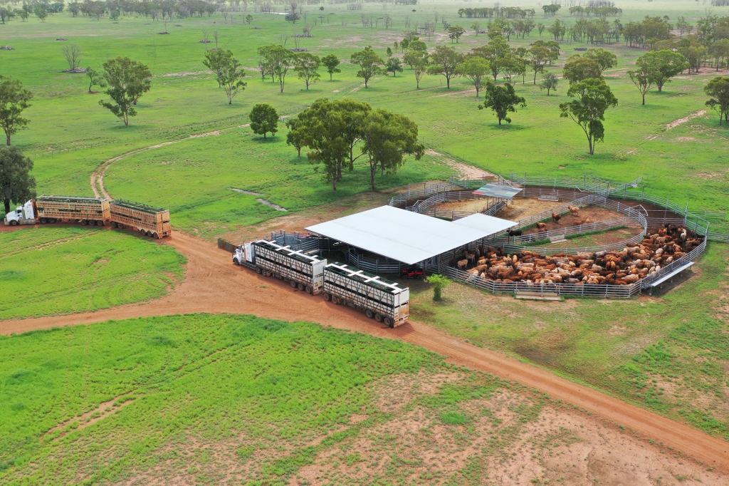 Thumbnail for Rain to deliver cash splash to bush businesses
