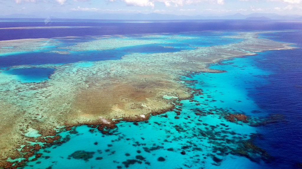 Thumbnail for Skyscraper-sized ‘coral tower’ found by researchers on Great Barrier Reef