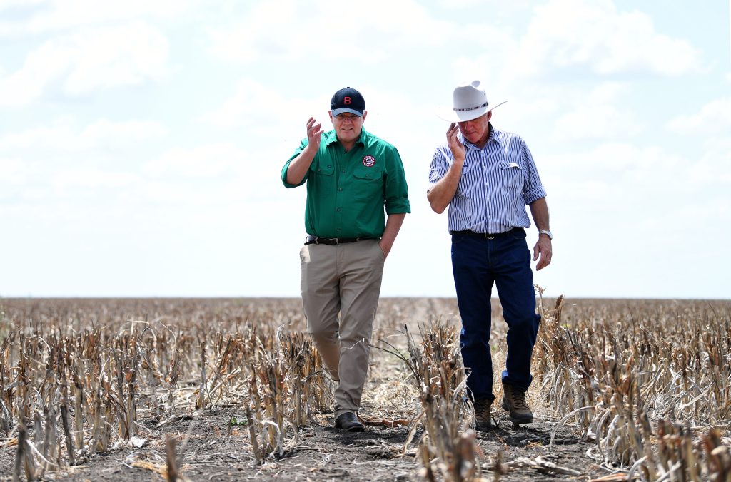 Thumbnail for Queensland businesses urged: Don’t lay off your staff
