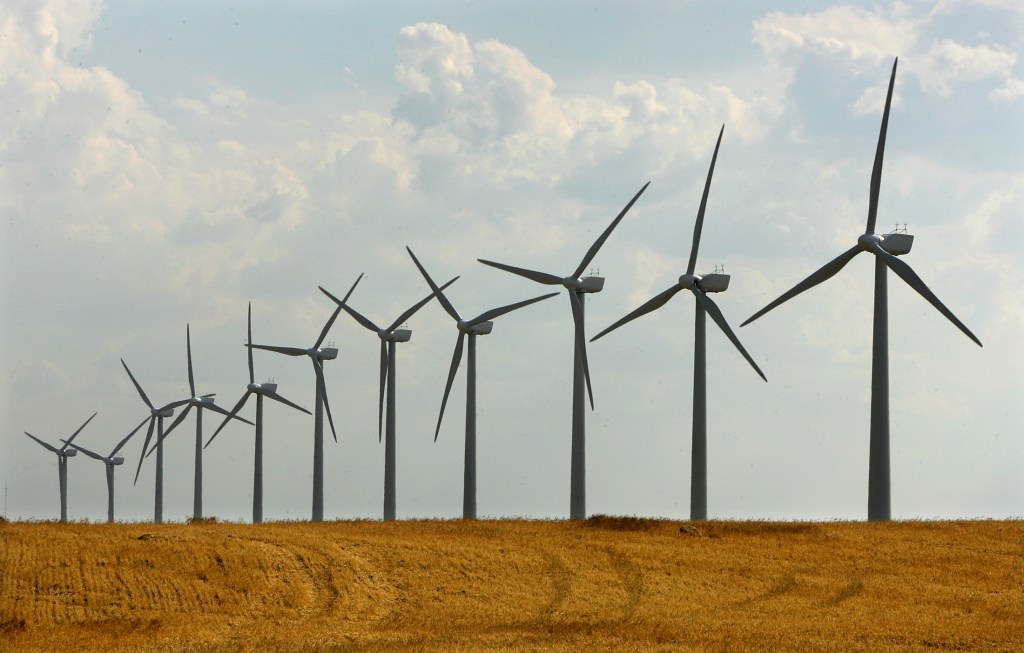 Thumbnail for The cowboys are back: Renewables sector being pressured over ‘boom time’ land grab