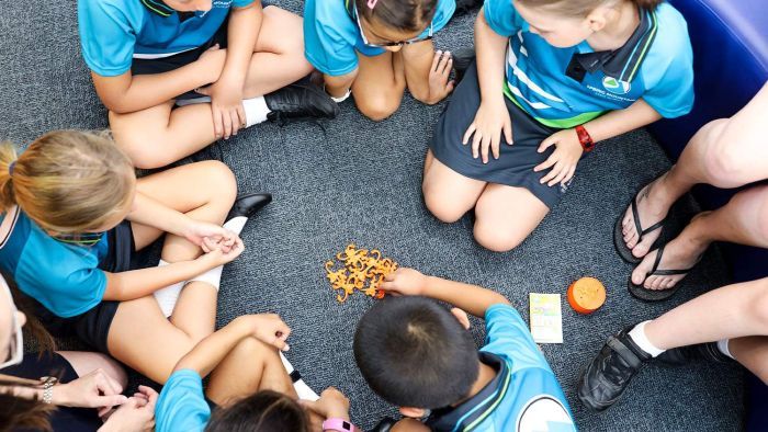 Thumbnail for More than 1000 school kids test positive in 24 hours, but it’s ‘not a cause for concern’