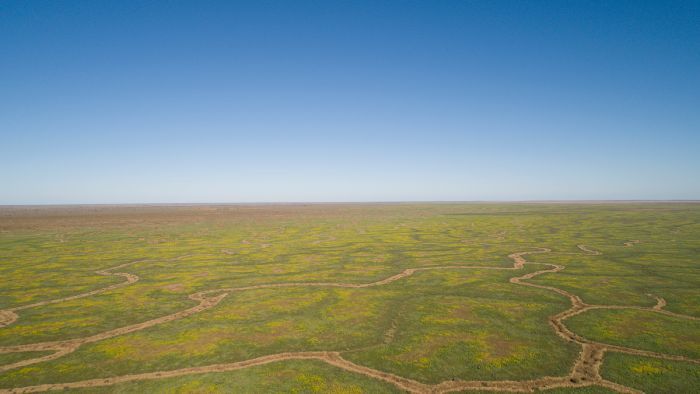 The region's rivers and floodplains sit over the Great Artesian Basin. Photo: ABC