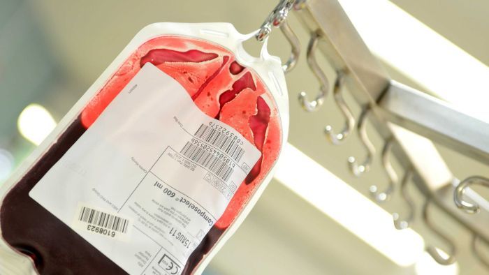 Thumbnail for Urgent call for those with rare blood type to donate over Easter