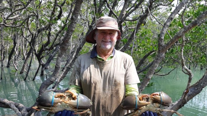 Thumbnail for Mud crabs become the latest surprise victim of our global pandemic
