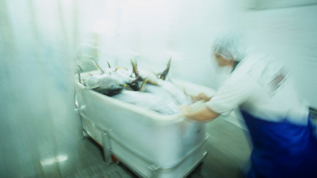Thumbnail for Export deal a lifeline for producers, with an added bonus for hospitals