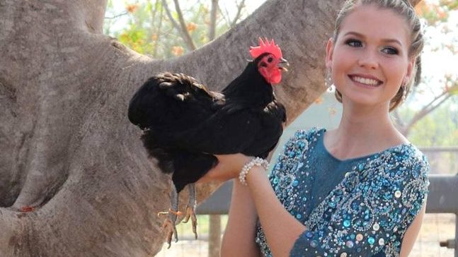 Thumbnail for Queensland teen waits out COVID-19 with 240 chickens for company