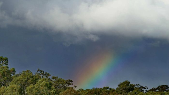 Thumbnail for Dark clouds are the silver lining as nation’s southeast drenched