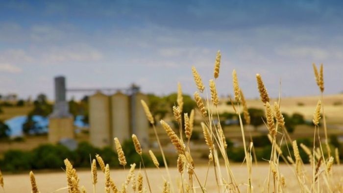 Thumbnail for Farmers rack up the debt, but it’s quality that counts more than quantity