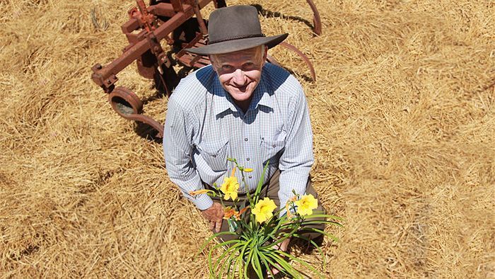 Thumbnail for Gardening can help ease the stress of isolation