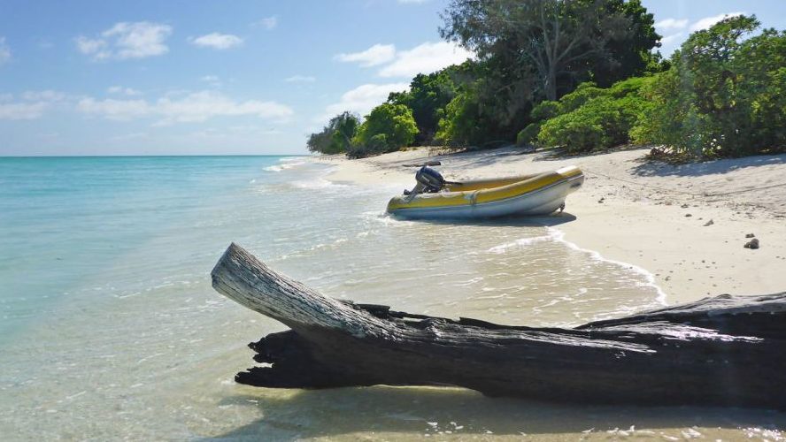 North West Island is about 75 kilometres from Gladstone.

Supplied: Queensland Department of Environment and Science