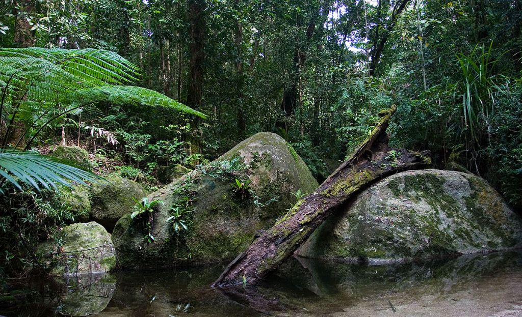 Thumbnail for Why a green energy project has Daintree residents up in arms