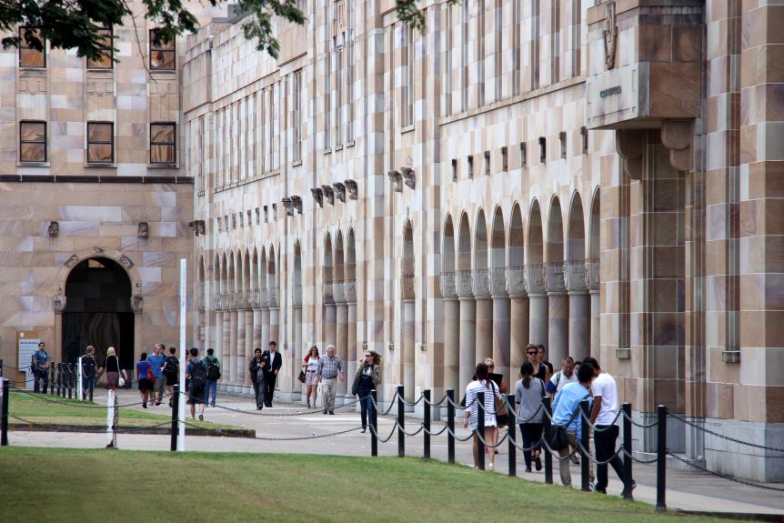 Thumbnail for Cost of law, arts degrees to skyrocket as govt gains Senate support