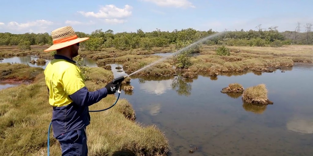 Thumbnail for Silent outbreak – mosquito-borne diseases worst in five years