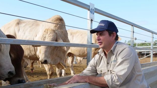 Thumbnail for Beef bans: How Australia was blindsided by China’s trade bombshell
