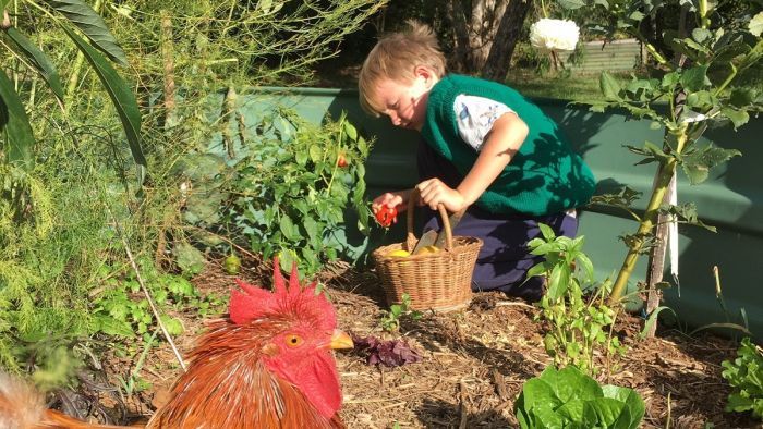The coronavirus pandemic has prompted many people to question how and where they want to live. Photo: ABC