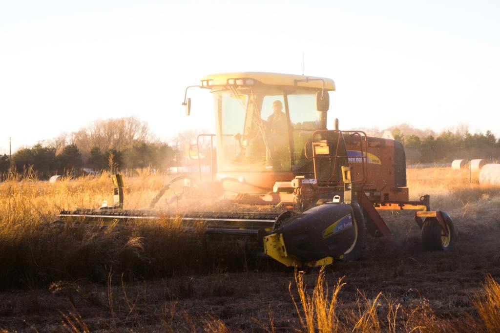 Thumbnail for Suncorp home lending slumps but things are looking up on the farm