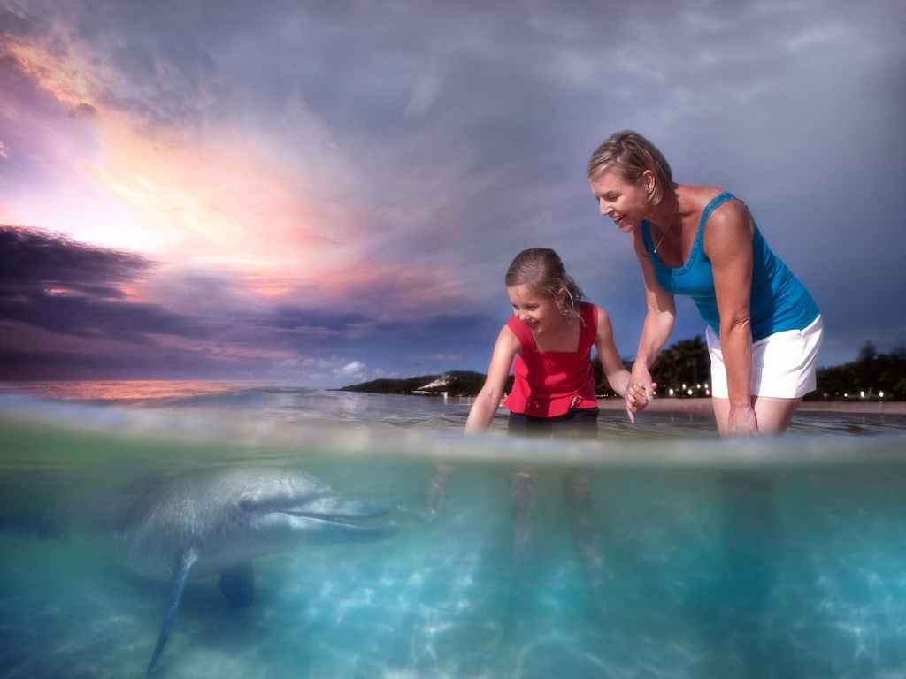 Thumbnail for Tourists start the long, slow trek back to sunshine as travel spending surges