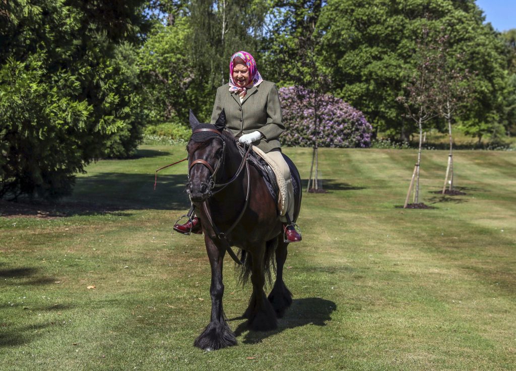 Thumbnail for Queen saddles up for first public appearance since lockdown