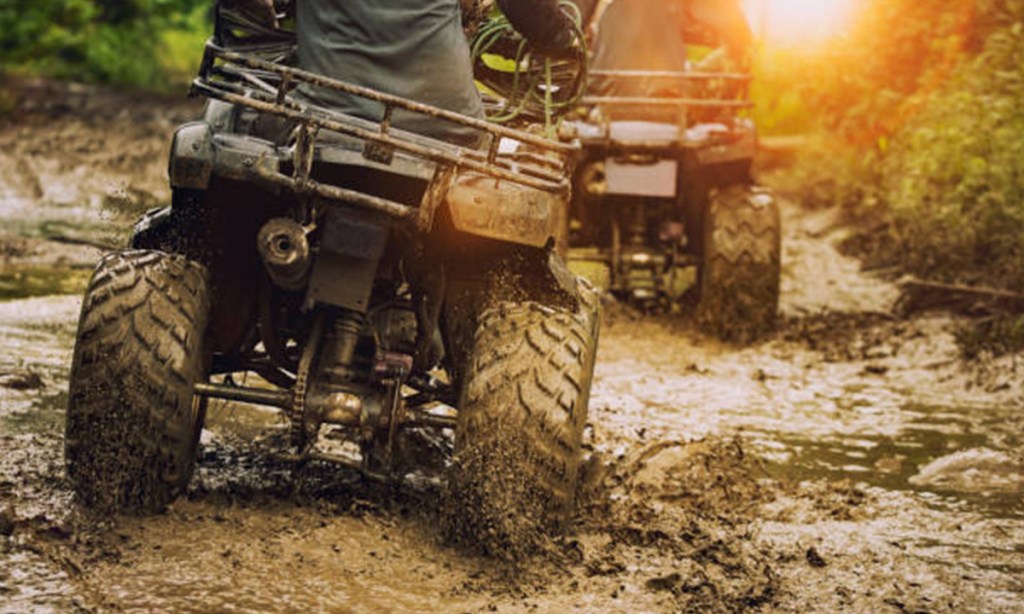 Thumbnail for Dying to ride: The killer quads making farms our most deadly workplaces