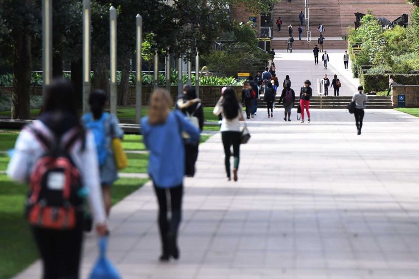 Thumbnail for Brain drain: International students more than cash cows and cheap labour