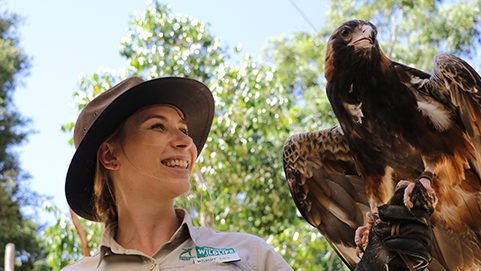 Thumbnail for Currumbin the early bird for pre-holiday opening as theme parks wait for sign-off
