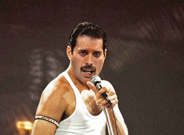 Queen singer Freddie Mercury.