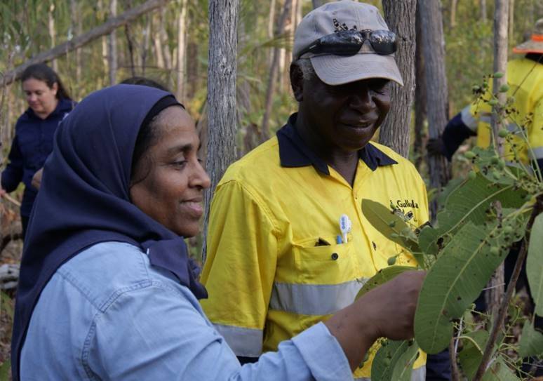 Thumbnail for How our indigenous communities revived ancient ‘super food’