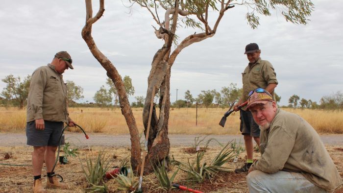 Prawn trawler skippers turn to gardening in Cloncurry to keep in employed. (Photo: ABC)