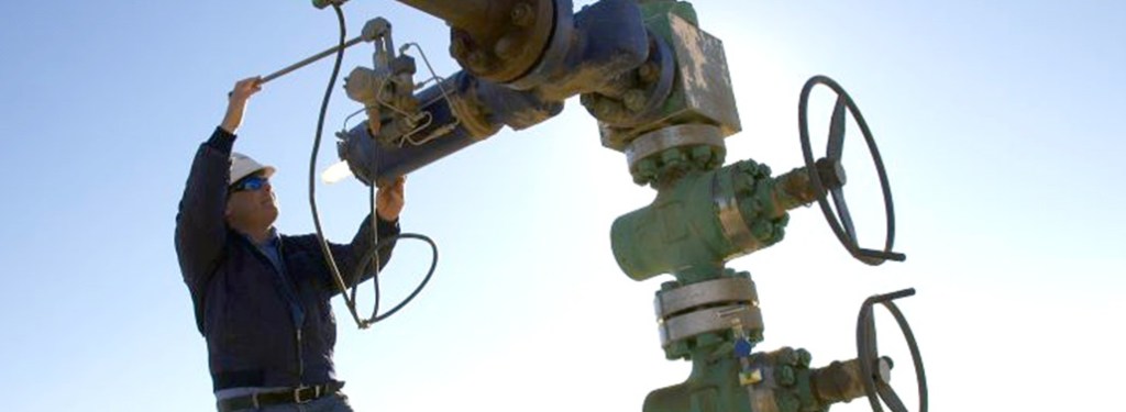 Thumbnail for Cottee declares gas discovery is ‘like QGC’