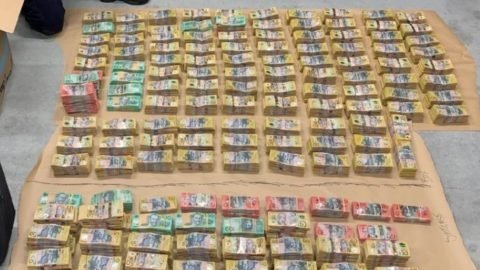 Thumbnail for Brisbane man nabbed with $4.35m cash in car during routine traffic stop