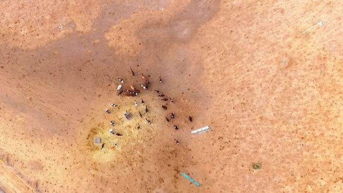 The Government has allocated billions of dollars to help farms better prepare for drought. (Photo: ABC)