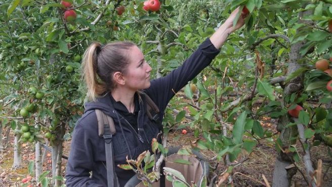 Thumbnail for Farmers’ stinging response to government’s rural safety blitz