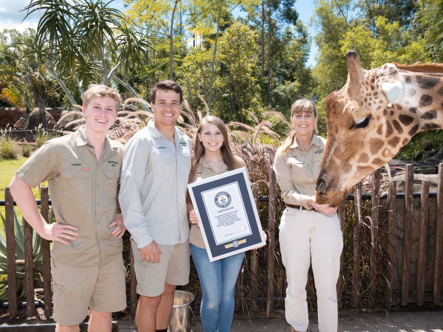 Thumbnail for Crikey! Australia Zoo hits all-time high with world’s tallest giraffe