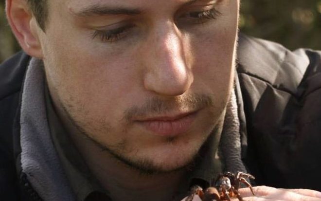 Thumbnail for Beautiful one day, crawling with ants and spiders the next