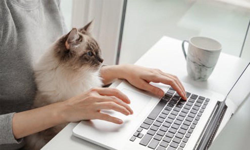(Photo: Shutterstock)