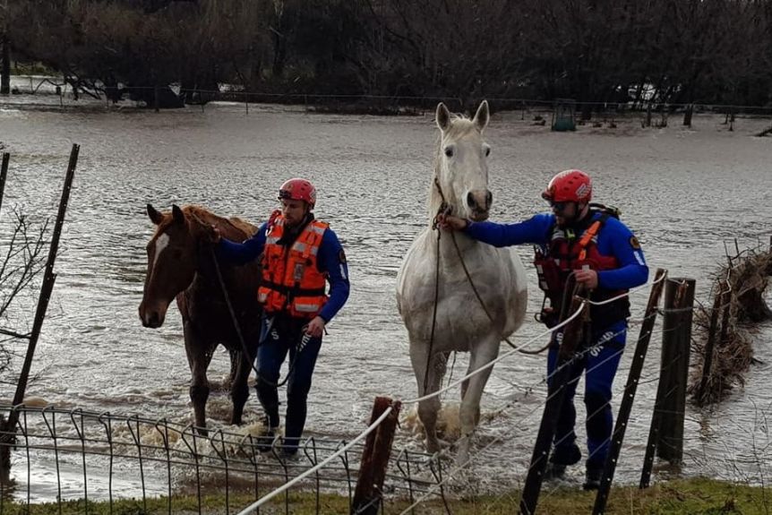 Thumbnail for Flash flooding forces evacuations after 300mm deluge