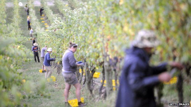 Thumbnail for Pacific Island workers losing 10 per cent of pay they send home