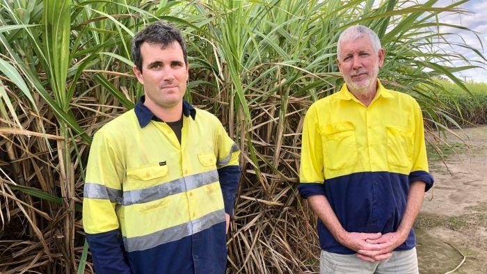 Paul and Garry Petersen are concerned what this land deal will mean for the future of the local sugar industry. (Photo: ABC)