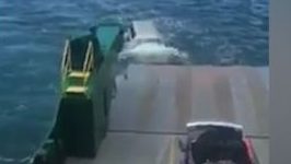 Thumbnail for Backpackers’ 4WD falls off barge on way to Fraser Island, sinks