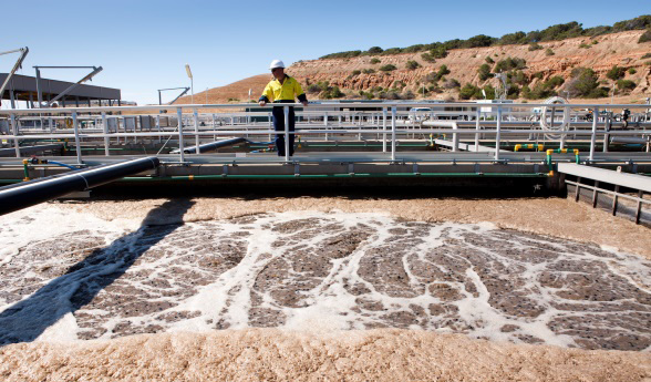 Thumbnail for State-wide rollout of sewage testing to ensure no virus goes undetected