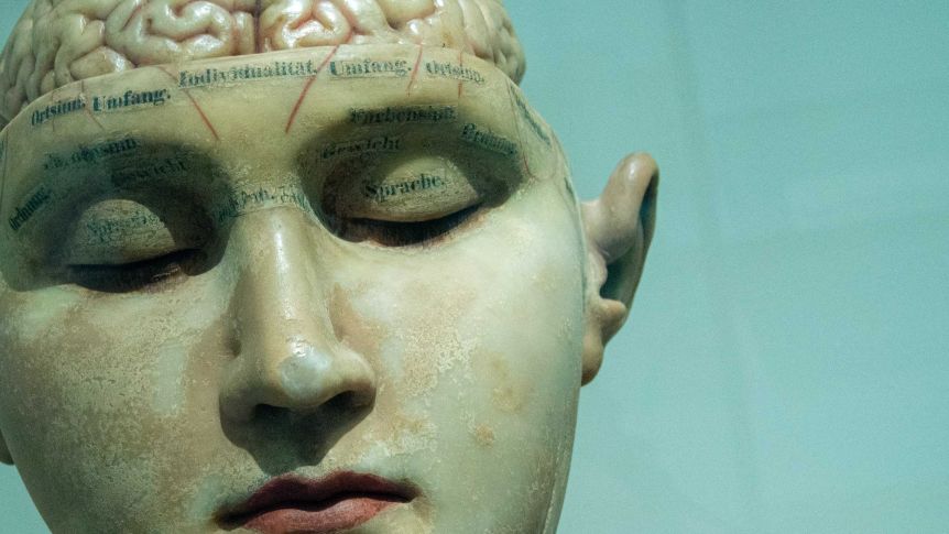 Thumbnail for What happens to your brain when you’re locked inside?