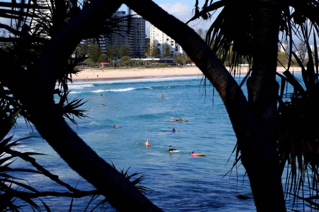 Thumbnail for Coast beaches reopen with ‘extreme caution’ warning after fatal shark attack