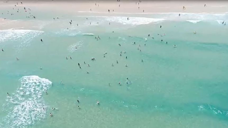 Thumbnail for Eye in the sky: Drones to keep swimmers safe from surf and sharks